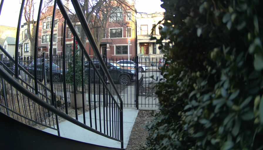 Reolink Camera Two_01_Reolink Home Hub One_20250225165951.jpg